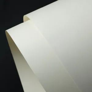 Sản phẩm White Kraft 300x300 — Công Ty TNHH Giấy Lan Vi — MST 0310152676