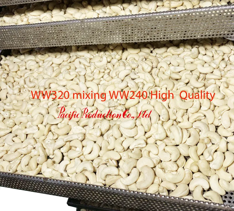 Sản phẩm ww240 screencashewppc — Công Ty TNHH Sản Xuất Kinh Doanh Thái Bình Dương — MST 0310153084
