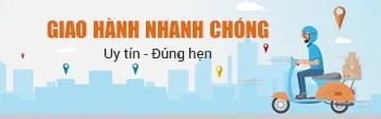 Sản phẩm 600637049747710vithumb_350x110 — Công Ty TNHH TM DV Nguyễn Hiền — MST 0310192598