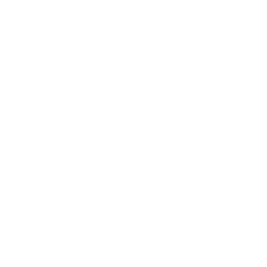 Sản phẩm email 300x300 — Công Ty CP Công Nghệ Nam Phương Việt — MST 0310201404