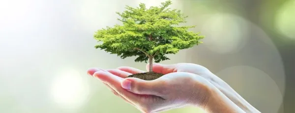 Sản phẩm MÔI TRƯỜNG — Công Ty Cổ Phần Phú Bảo Long — MST 0310226078