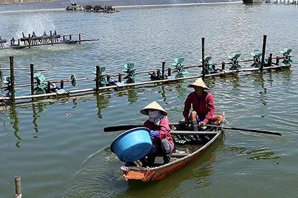 Sản phẩm NUÔI TRỒNG THỦY SẢN — Công Ty Cổ Phần Phú Bảo Long — MST 0310226078