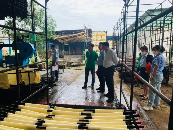 Sản phẩm z4664581292035 b28329cbccb7c6e662f00d7065c06c84 — Cao Su Hồng Sinh - Công Ty Cổ Phần Cao Su Hồng Sinh — MST 0310245306