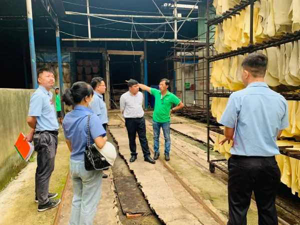Sản phẩm z4664581323292 af1c66cba0962ea92b43c317e220247d — Cao Su Hồng Sinh - Công Ty Cổ Phần Cao Su Hồng Sinh — MST 0310245306