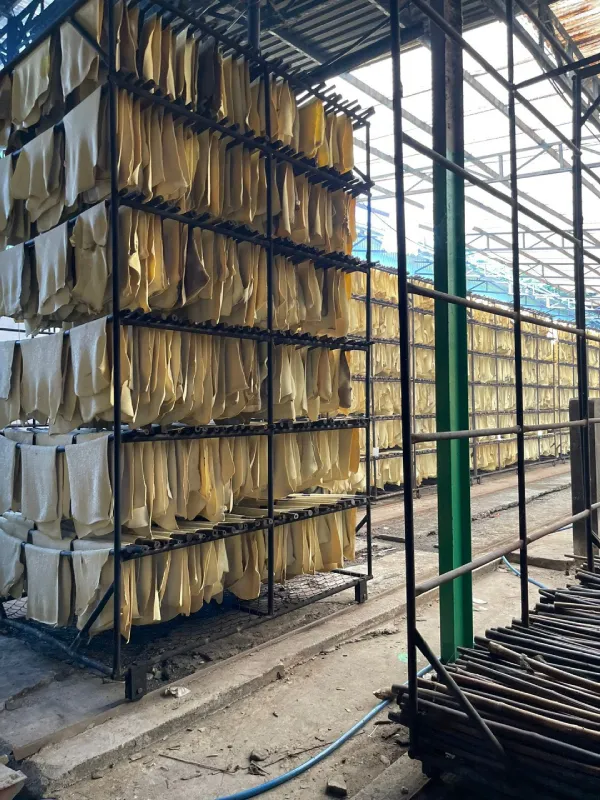 Sản phẩm z4664581335227 2c0c9a235a2a72fecce10494d9a6f345 — Cao Su Hồng Sinh - Công Ty Cổ Phần Cao Su Hồng Sinh — MST 0310245306