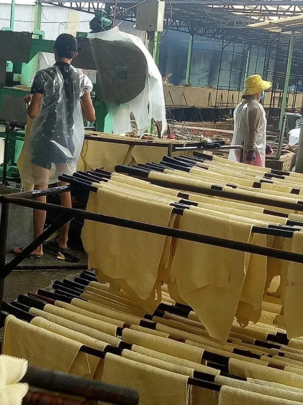 Sản phẩm z4664581337183 caaeee3d602d65624e6c09505fd18d77 — Cao Su Hồng Sinh - Công Ty Cổ Phần Cao Su Hồng Sinh — MST 0310245306