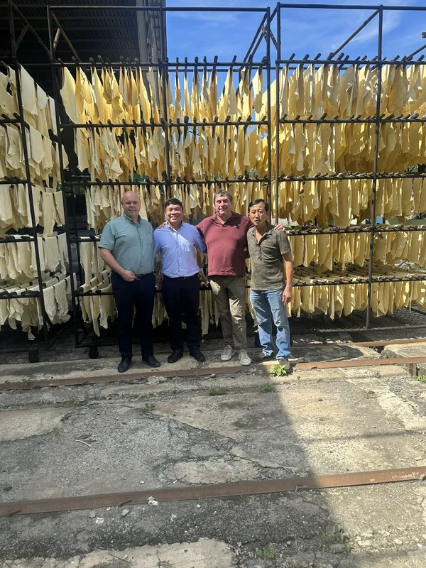 Sản phẩm z6119006336185 7f9d93240918e12a29d27a014b23933b — Cao Su Hồng Sinh - Công Ty Cổ Phần Cao Su Hồng Sinh — MST 0310245306