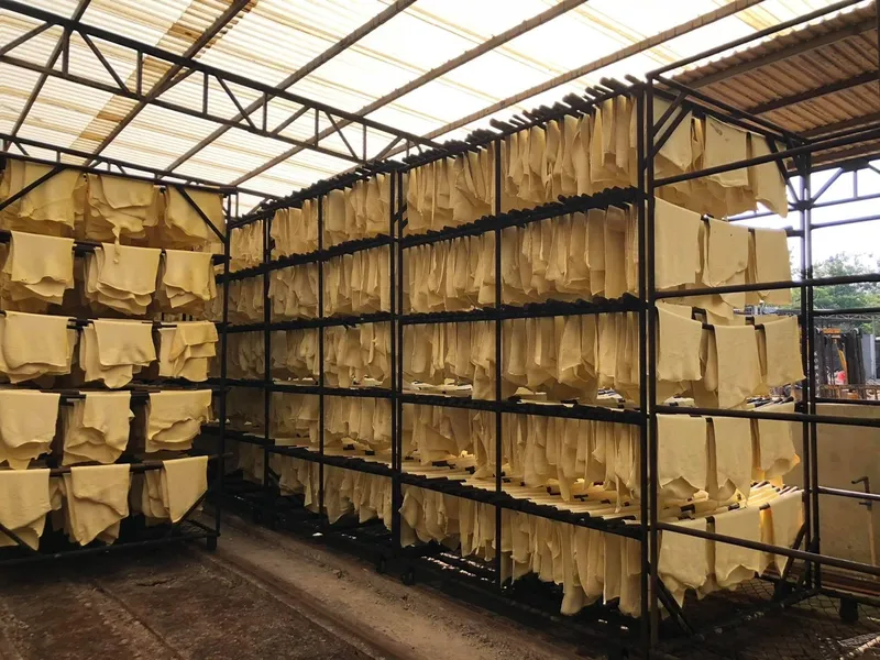 Sản phẩm z6118912518270 b3e7f368700847e444f8346c1f42a14d — Cao Su Hồng Sinh - Công Ty Cổ Phần Cao Su Hồng Sinh — MST 0310245306