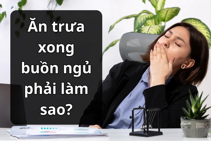 Sản phẩm an trua xong buon ngu dan van phong — Chi Nhánh Long An - Công Ty TNHH Bếp Lửa Việt — MST 0310259108