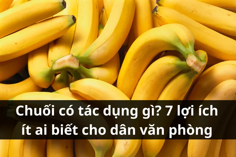 Sản phẩm chuoi co tac dung gi cho suc khoe — Chi Nhánh Long An - Công Ty TNHH Bếp Lửa Việt — MST 0310259108