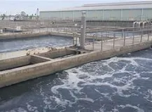 Sản phẩm oip 1756100601.jpg — Công Ty TNHH MTV Môi Trường Nước Đại Tín — MST 0310262051