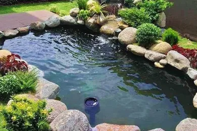 Sản phẩm ho ca koi dep 31 1756107739.jpg — Công Ty TNHH MTV Môi Trường Nước Đại Tín — MST 0310262051