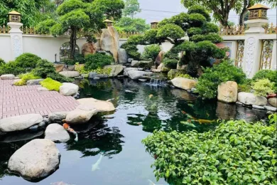 Sản phẩm thac nuoc ho ca koi dep 2 1756107777.jpg — Công Ty TNHH MTV Môi Trường Nước Đại Tín — MST 0310262051