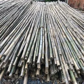 Sản phẩm 1535344242 — Cơ Sở Mây Tre Lá Hữu Tâm — MST 0310268303
