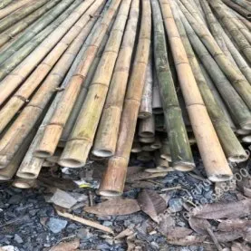 Sản phẩm 1535344269 — Cơ Sở Mây Tre Lá Hữu Tâm — MST 0310268303