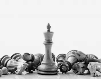 Sản phẩm Chess 1 353x275 — Công Ty Cổ Phần Nghiên Cứu Và Tư Vấn Thị Trường Vi Na (VINAMR) — MST 0310271578