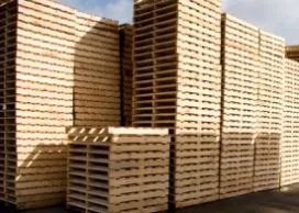 Sản phẩm palletgiay1482823854275x215 2604 — Công Ty TNHH Một Thành Viên Bao Bì Giấy Lợi Vinh — MST 0310272589