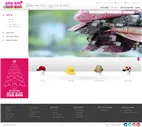 Sản phẩm 142 1120035websitenonson — Công Ty TNHH Thương Mại Điện Tử Emsvn — MST 0310275773