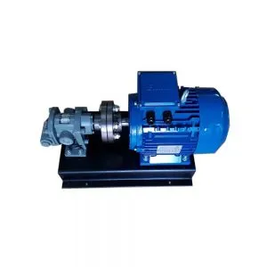 Sản phẩm KOSHIN 300x300 — Máy Bơm Lê Hoàng - Công Ty TNHH Thương Mại Dịch Vụ Xuất Nhập Khẩu Lê Hoàng — MST 0310278397