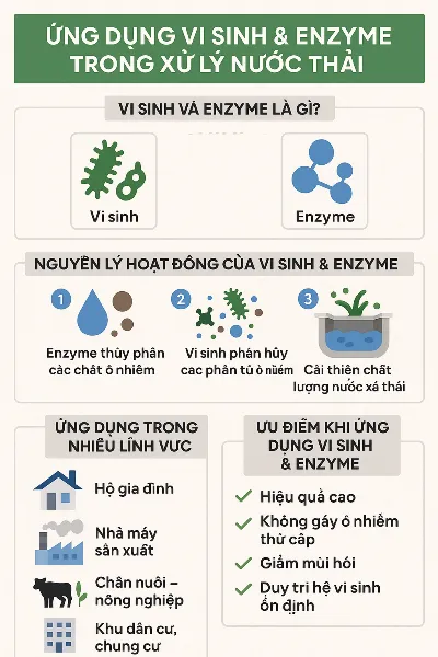 Sản phẩm 202504180148_ung dung enzyme  vi sinh xu ly nuoc thai — Công Ty TNHH Vi Sinh Môi Trường — MST 0310281456