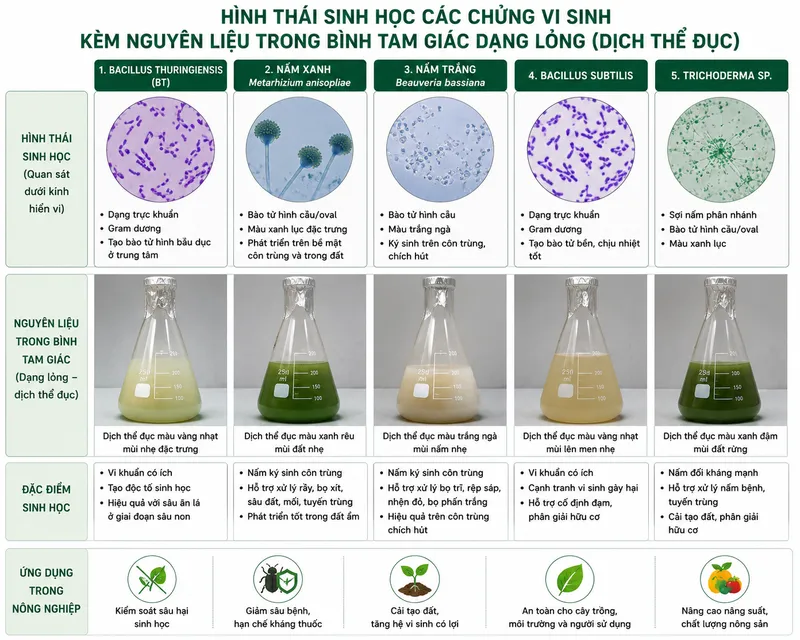Sản phẩm 202605250108_bt nx nt — Công Ty TNHH Vi Sinh Môi Trường — MST 0310281456
