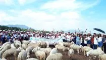 Sản phẩm ao thun quang cao — Công Ty Trách Nhiệm Hữu Hạn Một Thành Viên Thế Giới Hoàng Vũ — MST 0310318748
