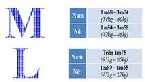 Sản phẩm bang size ap thun — Công Ty Trách Nhiệm Hữu Hạn Một Thành Viên Thế Giới Hoàng Vũ — MST 0310318748