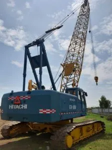 Sản phẩm 119115715_1651937348321033_6734091081523735879_n 225x300 — Công Ty TNHH ĐTXD Và TM Phượng Hoàng Sài Gòn — MST 0310352957