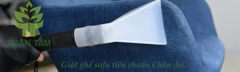 Sản phẩm _DSC6281 min — Công Ty TNHH Dịch Vụ Toàn Tâm — MST 0310362391