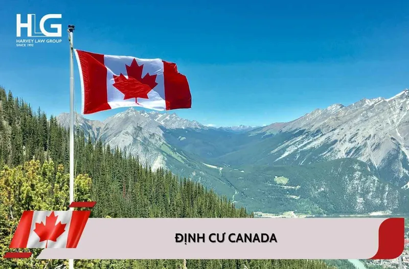 Sản phẩm dinh cu canada — Công ty Luật TNHH Harvey Law Group LTD — MST 0310365875