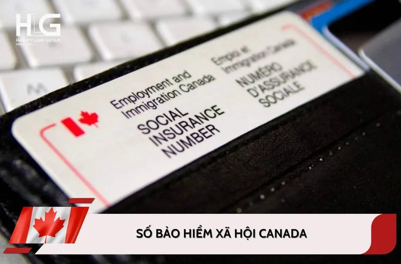 Sản phẩm so bao hiem xa hoi canada sin — Công ty Luật TNHH Harvey Law Group LTD — MST 0310365875