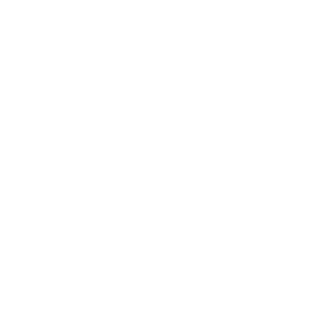 Sản phẩm —Pngtree—phone icon_4479726 300x300 — Công Ty TNHH Đệ Nhất Ô Tô — MST 0310368957