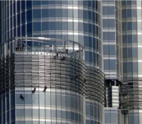 Sản phẩm lau kinh nha cao tang 8981 — Công Ty TNHH Thương Mại Dịch Vụ Phi Phượng Hoàng — MST 0310446700