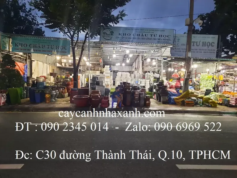 Sản phẩm 1a   kho chau — Công Ty TNHH Thương Mại Dịch Vụ Cây Cảnh Nhà Xanh — MST 0310452197