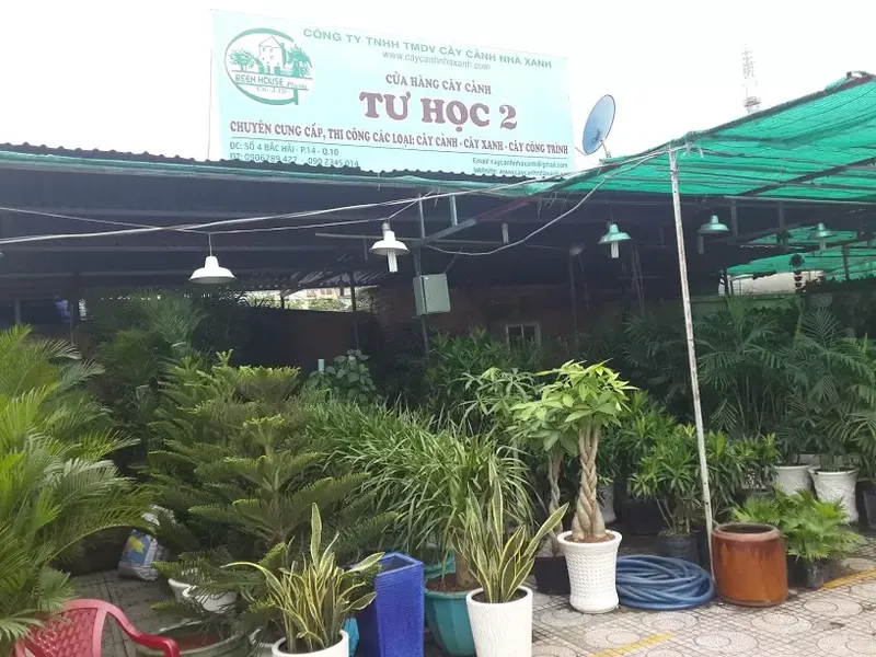 Sản phẩm cua hang cay canh — Công Ty TNHH Thương Mại Dịch Vụ Cây Cảnh Nhà Xanh — MST 0310452197