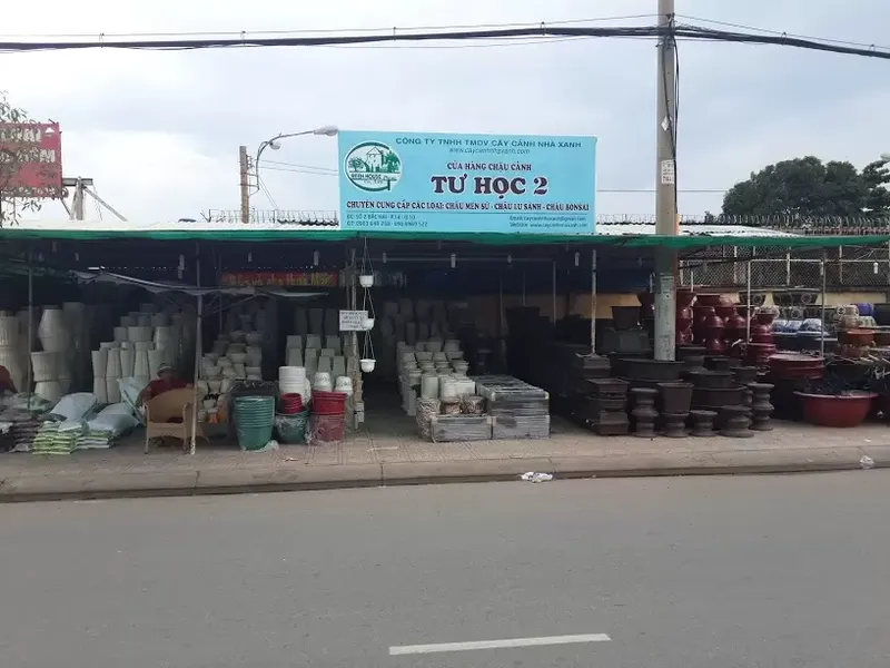 Sản phẩm cua hang chau canh — Công Ty TNHH Thương Mại Dịch Vụ Cây Cảnh Nhà Xanh — MST 0310452197