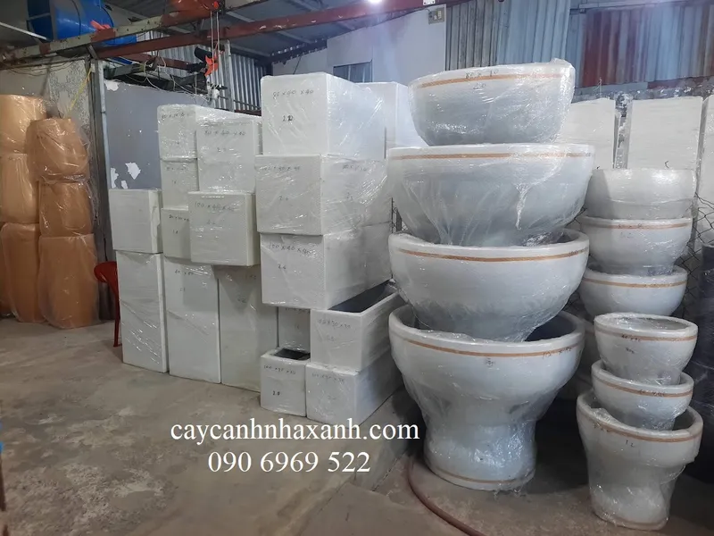 Sản phẩm kho chau compopsite  jpg  — Công Ty TNHH Thương Mại Dịch Vụ Cây Cảnh Nhà Xanh — MST 0310452197