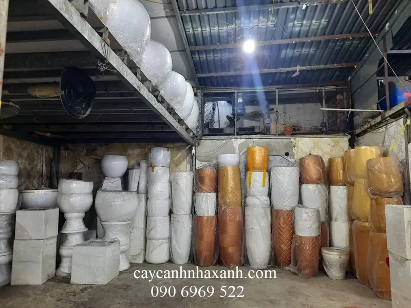 Sản phẩm kho chau compopsite — Công Ty TNHH Thương Mại Dịch Vụ Cây Cảnh Nhà Xanh — MST 0310452197