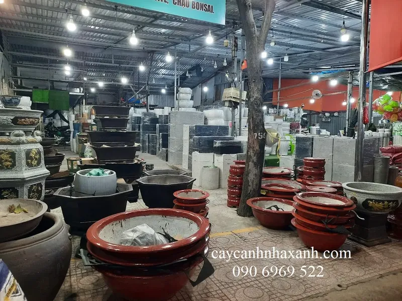 Sản phẩm kho chau da mai — Công Ty TNHH Thương Mại Dịch Vụ Cây Cảnh Nhà Xanh — MST 0310452197
