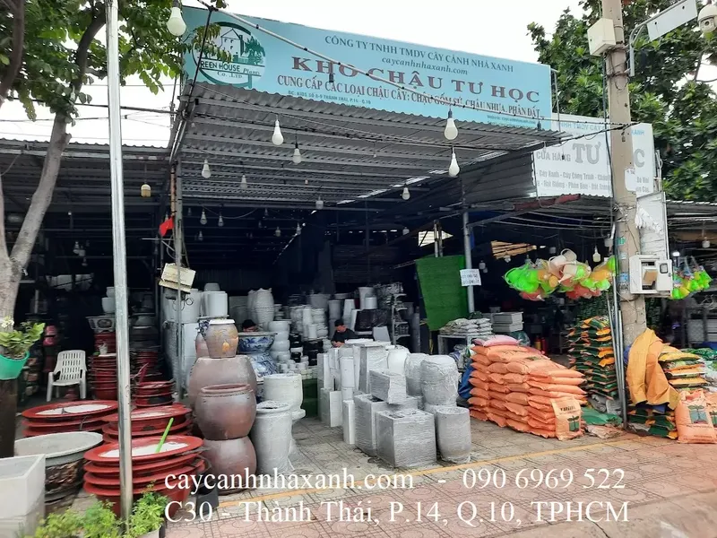 Sản phẩm kho chau 17624095951284879190 — Công Ty TNHH Thương Mại Dịch Vụ Cây Cảnh Nhà Xanh — MST 0310452197
