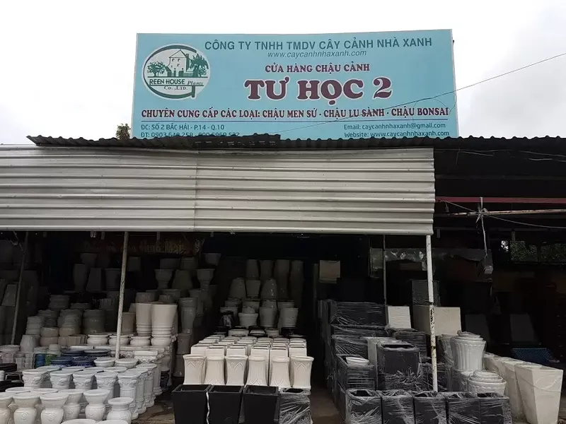 Sản phẩm c_a hang ch_u — Công Ty TNHH Thương Mại Dịch Vụ Cây Cảnh Nhà Xanh — MST 0310452197