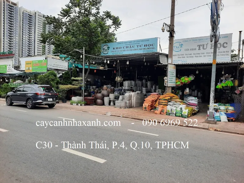 Sản phẩm kho chau   — Công Ty TNHH Thương Mại Dịch Vụ Cây Cảnh Nhà Xanh — MST 0310452197