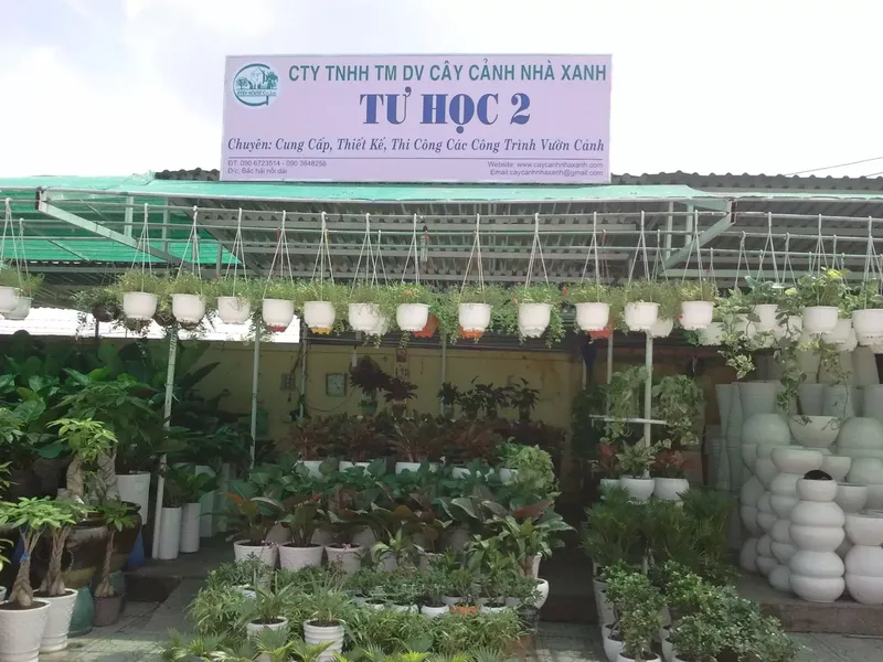 Sản phẩm cua hang cay canh tu hoc   cty cay canh nha xanh — Công Ty TNHH Thương Mại Dịch Vụ Cây Cảnh Nhà Xanh — MST 0310452197