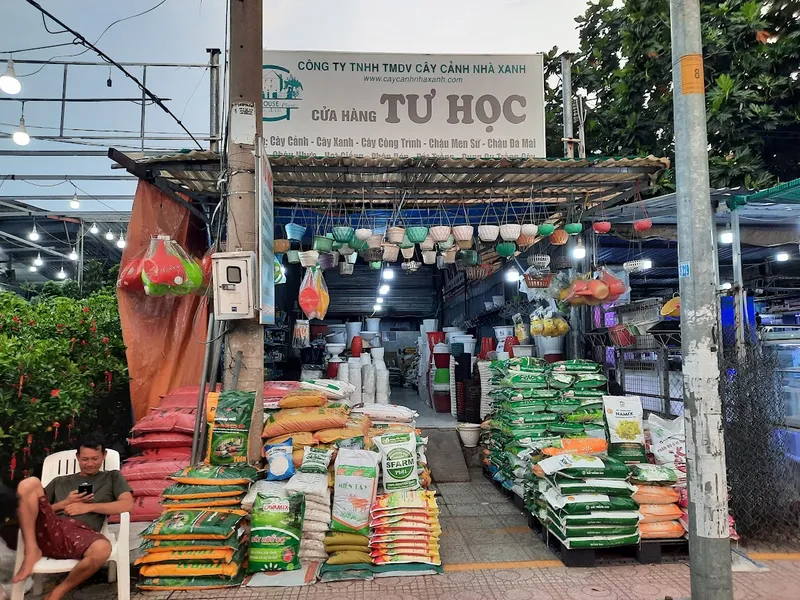 Sản phẩm cua hang   — Công Ty TNHH Thương Mại Dịch Vụ Cây Cảnh Nhà Xanh — MST 0310452197