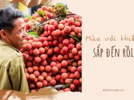 Sản phẩm mua vai thieu sap den roi 269x201 — Công Ty TNHH TM Và DV Du Lịch Tự Do — MST 0310457526