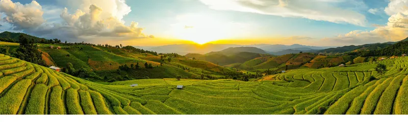 Sản phẩm DNT Slide 2 Main — Gạo Dũng Nhi Thanh - Công Ty TNHH Thương Mại Và Xuất Nhập Khẩu Thực Phẩm Dũng
Nhi Thanh — MST 0310486189