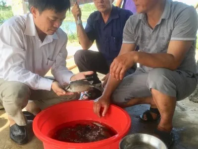 Sản phẩm anh thuong va ong phan van phuong dang kiem tra ca mo hinh 1 25681535_400x300 — Công Ty TNHH Thiết Bị Song Long — MST 0310517969