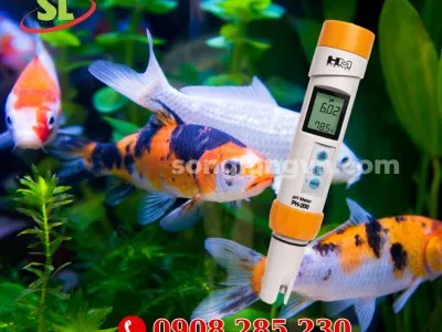 Sản phẩm but do ph trong thuy sinh 50807227_400x300 — Công Ty TNHH Thiết Bị Song Long — MST 0310517969