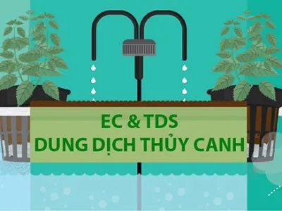 Sản phẩm ec tds trong thuy canh 73079667_400x300 — Công Ty TNHH Thiết Bị Song Long — MST 0310517969