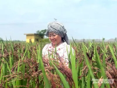 Sản phẩm ky su vo thi ngoc 6201411_400x300 — Công Ty TNHH Thiết Bị Song Long — MST 0310517969